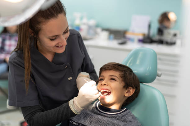 Best Emergency Dental Care for Broken or Chipped Teeth in Willow, AK